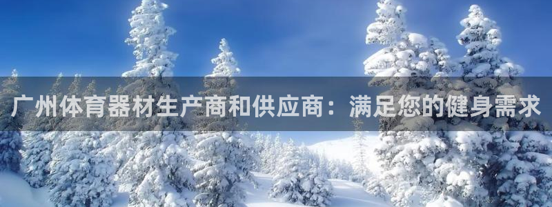 极悦平台的注册流程及注意事项是什么：广州体育器材生产
