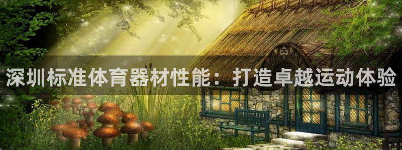 极悦平台注册申请流程详解图：深圳标准体育器材性能：打