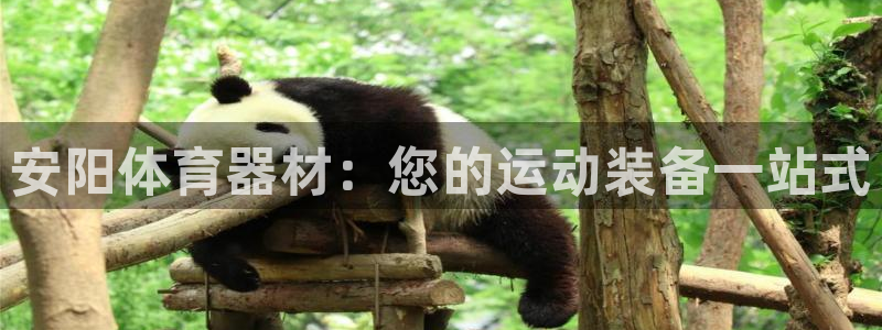 极悦娱乐挂机赚钱是真的吗知乎：安阳体育器材：您的运动装备一站