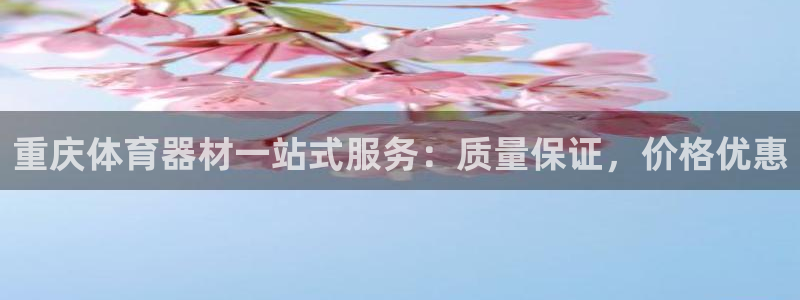 极悦生活家是什么平台的软件