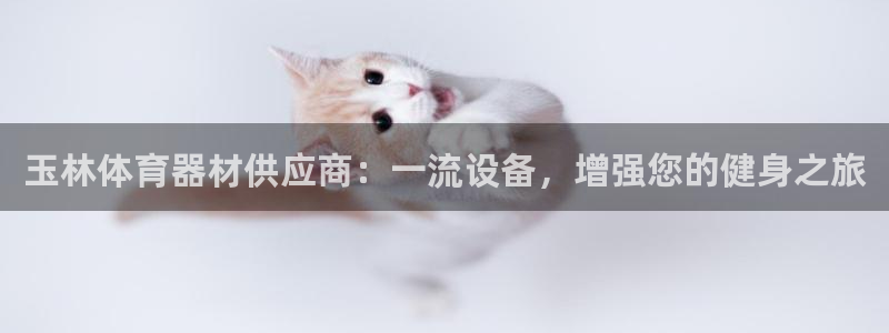 极悦官方网站app下载软件：玉林体育器材供应商：一流