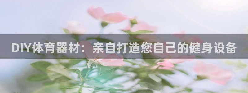 极悦平台用户反馈和反馈：DIY体育器材：亲自打造您自