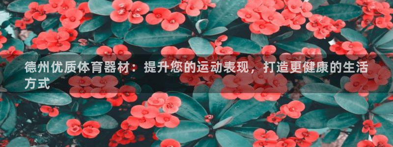极悦平台注册用户名验证码是什么：德州优质体育器材：提