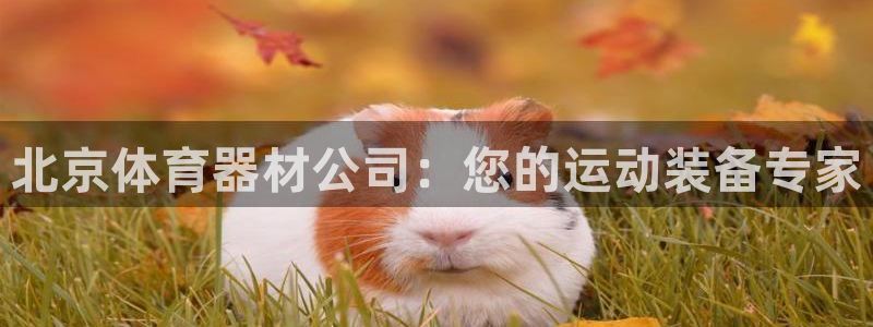 极悦官方网站app下载：北京体育器材公司：您的运动装