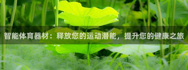 极悦娱乐代理怎么样：智能体育器材：释放您的运动潜能，