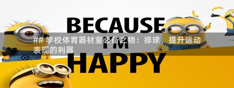极悦娱乐代理怎么样：## 学校体育器材室必备之物：排
