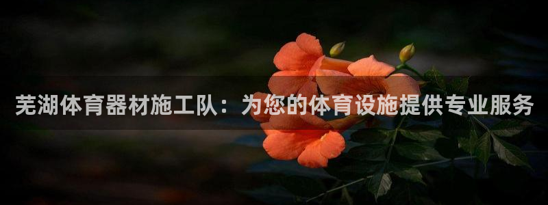 极悦平台官网入口网址：芜湖体育器材施工队：为您的体育