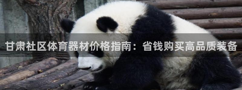 极悦平台客服团队：甘肃社区体育器材价格指南：省钱购买