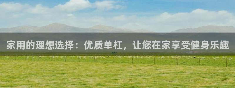 极悦平台与网易合作详情在哪：家用的理想选择：优质单杠