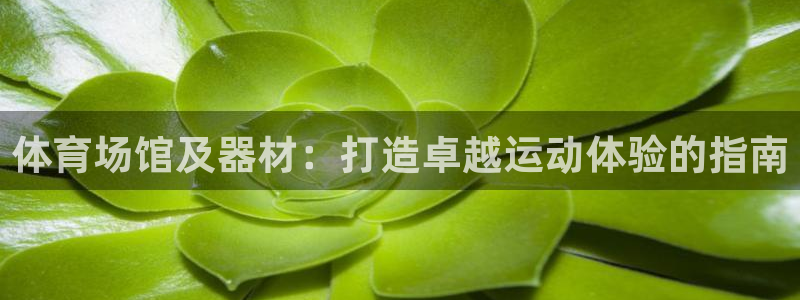 极悦平台使用教程图解：体育场馆及器材：打造卓越运动体