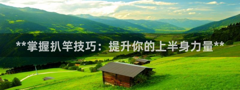 极悦平台安全吗：**掌握扒竿技巧：提升你的上半身力量