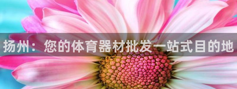 极悦娱乐官网app下载苹果版：扬州：您的体育器材批发