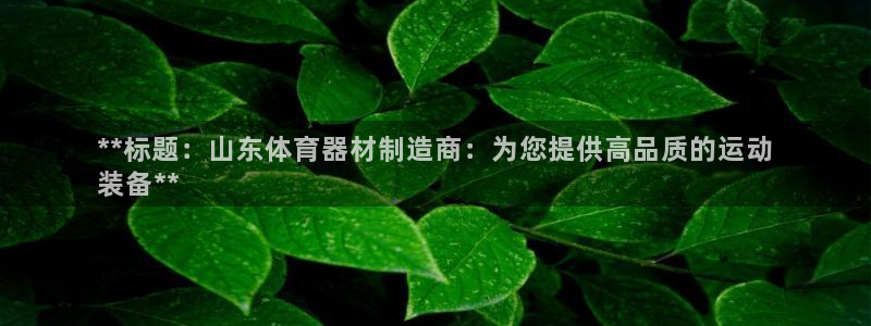 极悦娱乐成7O777：**标题：山东体育器材制造商：为您提供