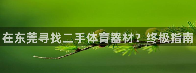 极悦娱乐官网入口网站：在东莞寻找二手体育器材？终极指