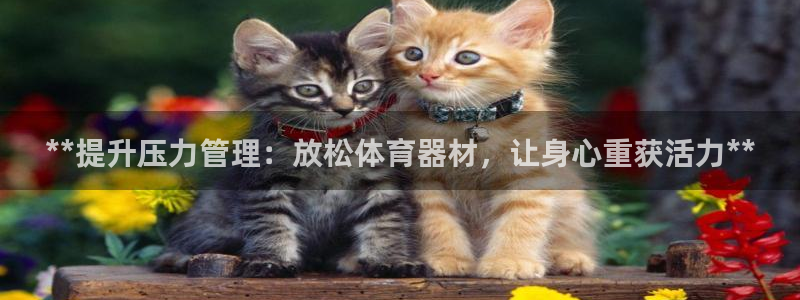 极悦娱乐的创始人背景故事：**提升压力管理：放松体育