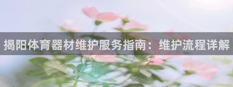 极悦平台股东：揭阳体育器材维护服务指南：维护流程详解
