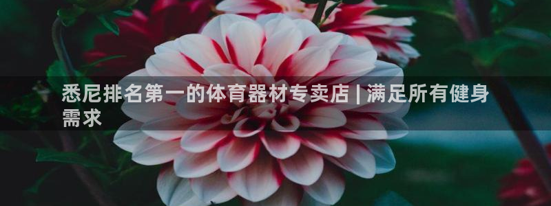 极悦平台是正规平台吗是真的吗：悉尼排名第一的体育器材