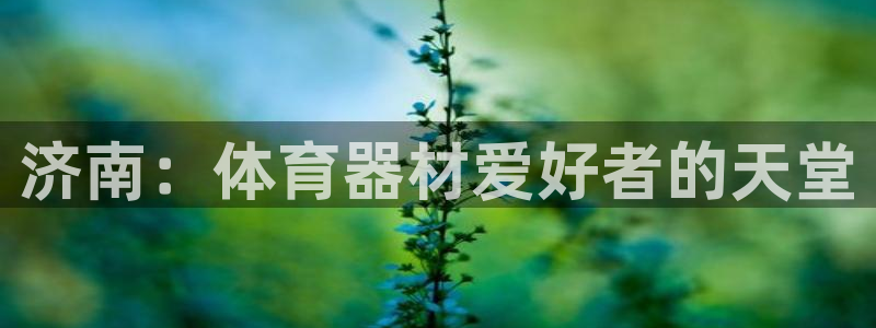 极悦平台登录不进去怎么回事呢：济南：体育器材爱好者的