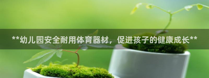极悦平台是干什么的：**幼儿园安全耐用体育器材，促进