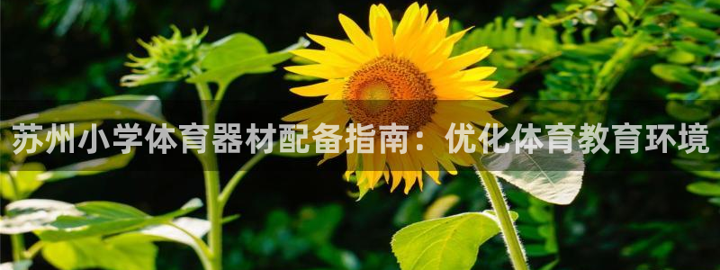 极悦娱乐官网下载app：苏州小学体育器材配备指南：优