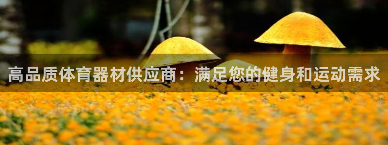 极悦平台官方网站入口链接手机：高品质体育器材供应商：