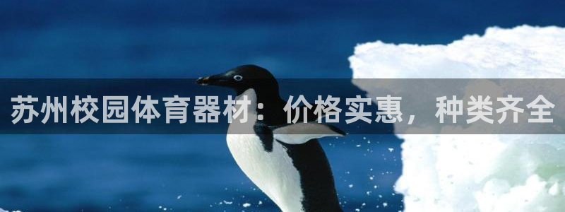 极悦官网首页登录入口：苏州校园体育器材：价格实惠，种