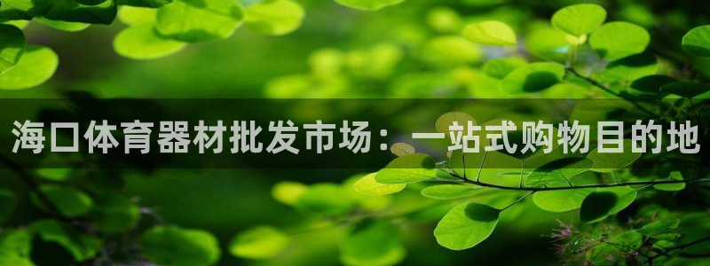 极悦官网的登录方法有哪些：海口体育器材批发市场：一站