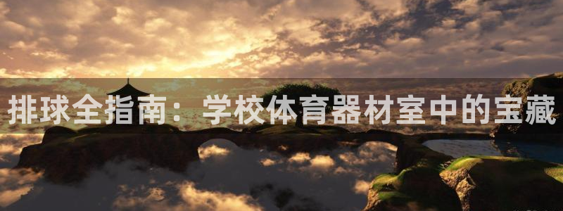极悦平台官网登录入口：排球全指南：学校体育器材室中的