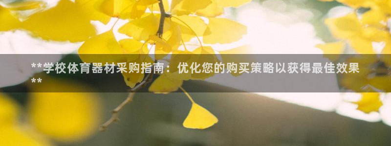极悦平台注册用户名格式：**学校体育器材采购指南：优