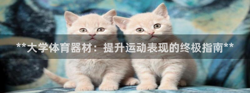 极悦平台注册登录失败：**大学体育器材：提升运动表现