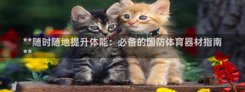 极悦娱乐创始人背景故事是什么：**随时随地提升体能：