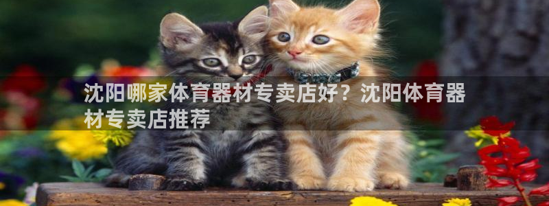 极悦娱乐挂机赚钱是真的吗安全吗：沈阳哪家体育器材专卖店好？沈