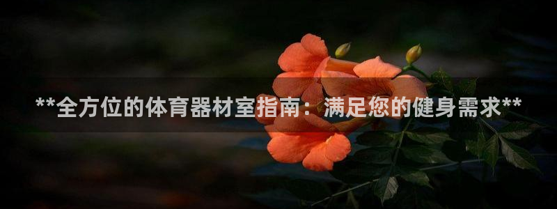极悦平台注册流程图：**全方位的体育器材室指南：满足您的健身