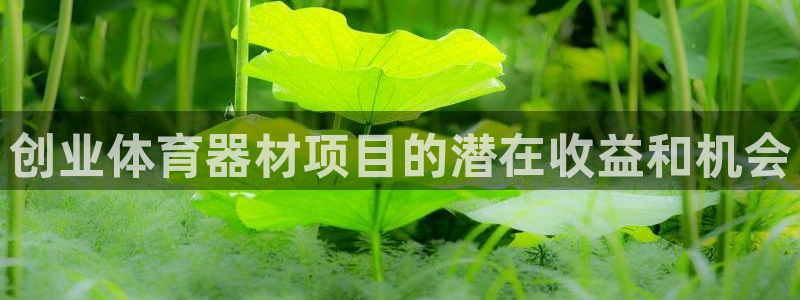 极悦益生菌猫粮怎么样：创业体育器材项目的潜在收益和机会
