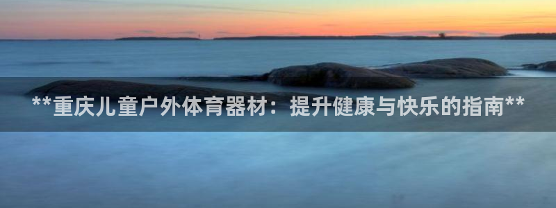 极悦平台官网入口登录：**重庆儿童户外体育器材：提升健康与快