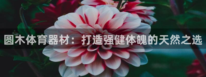 极悦娱乐最新版本更新内容介绍：圆木体育器材：打造强健