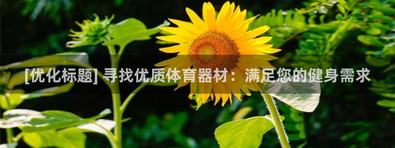 极悦平台登录不进去怎么回事呀：[优化标题] 寻找优质体育器材