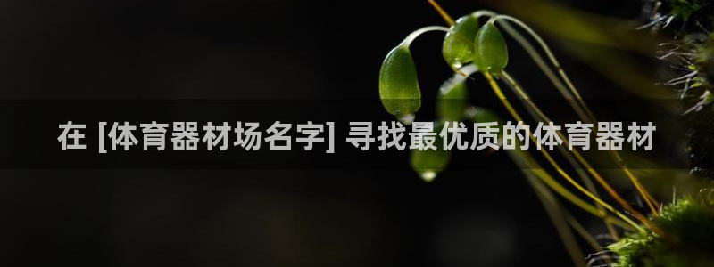 极悦娱乐登录网站每天的工作内容：在 [体育器材场名字] 寻找