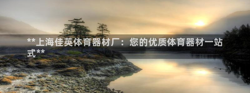 极悦生活家是什么平台的产品：**上海佳英体育器材厂：