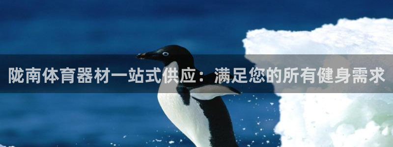 极悦平台官方网站首页下载：陇南体育器材一站式供应：满足您的所