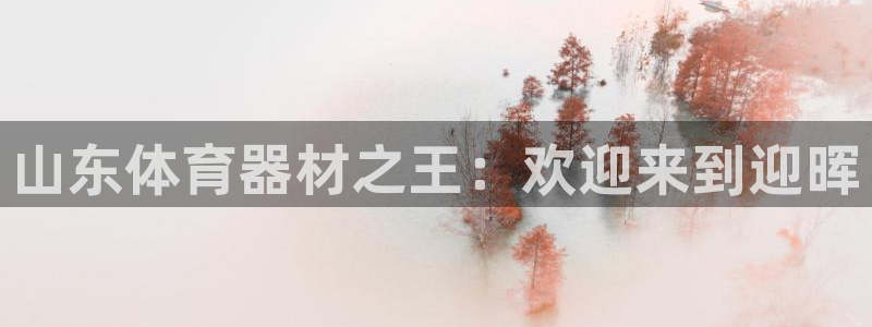 极悦平台用户评价与反馈怎么设置：山东体育器材之王：欢