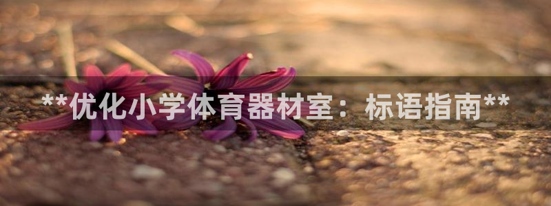 极悦平台客服投诉电话是多少号：**优化小学体育器材室