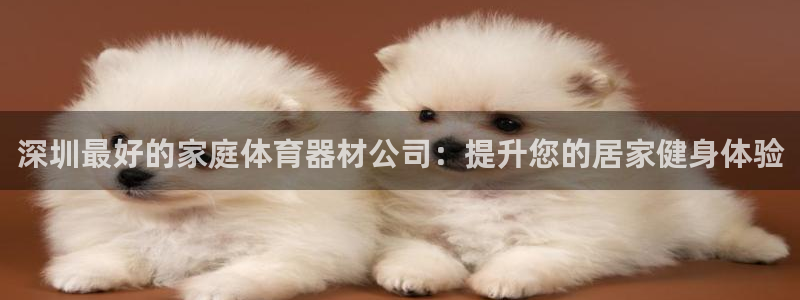 极悦平台代理怎么做的：深圳最好的家庭体育器材公司：提