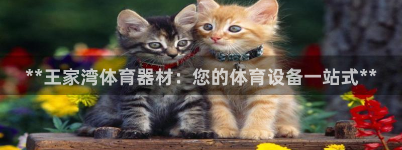 极悦平台客服团队怎么样：**王家湾体育器材：您的体育