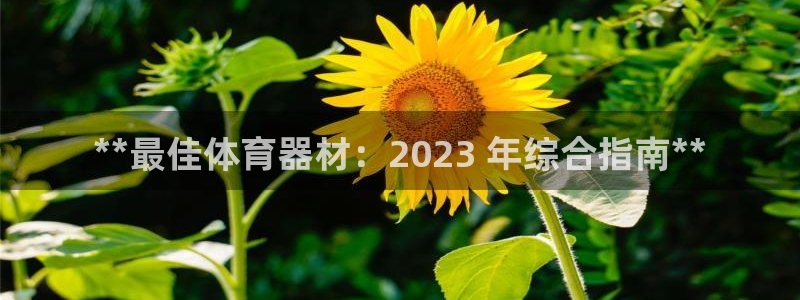 极悦平台方7O777：**最佳体育器材：2023 年