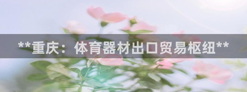 极悦平台注册失败如何解决呢：**重庆：体育器材出口贸