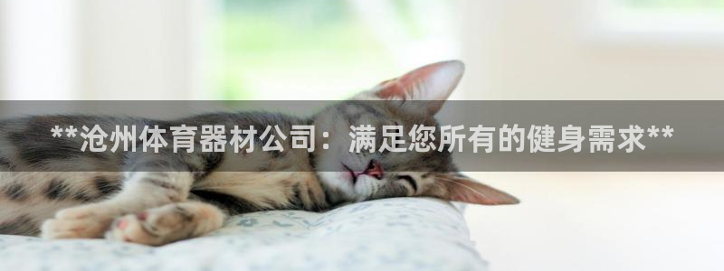极悦平台登录不进去怎么回事：**沧州体育器材公司：满