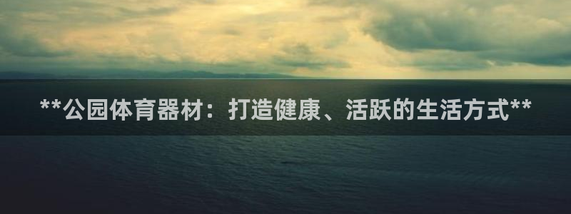 极悦平台官方网站首页登录：**公园体育器材：打造健康、活跃的