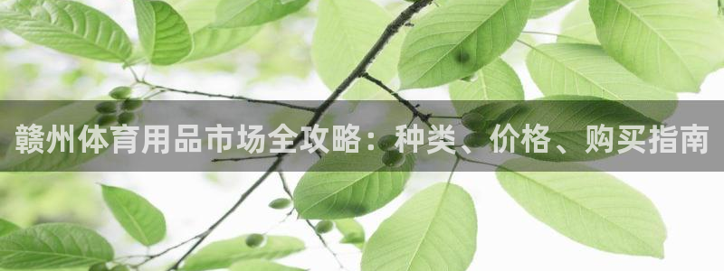 极悦平台注册官网：赣州体育用品市场全攻略：种类、价格