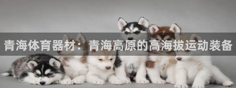 极悦官方网站：青海体育器材：青海高原的高海拔运动装备